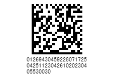 GS1 DataMatrix二维码